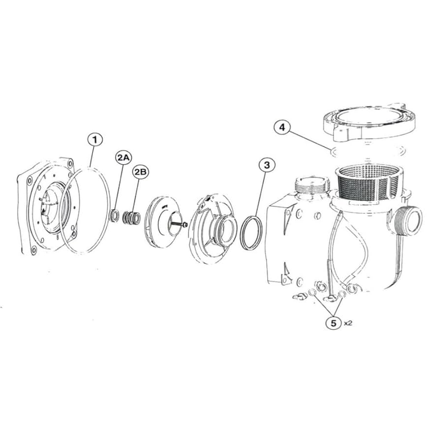 Amazon.com: Pentair 356197 Superflo Quick Pump Seal Kit